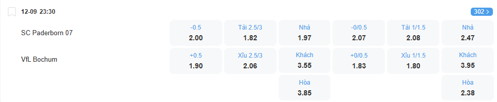 Tỉ lệ kèo Paderborn vs Bochum nhan-dinh-soi-keo-paderborn-vs-bochum-luc-23h30-ngay-12-9-2025-2